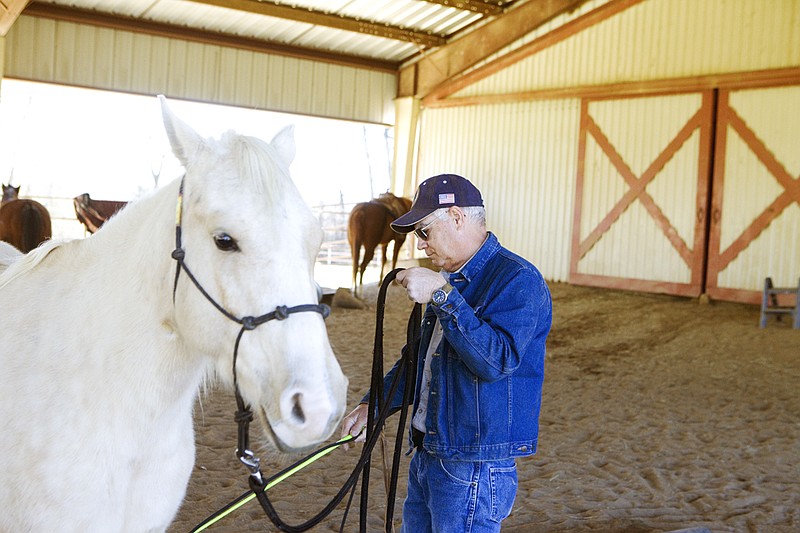 Jim Langley puts his quarter horse cross, Traveler, through his paces at the Holtzman Riding Academy. There, Langley works with Judy Holtzman to train the horse. Holtzman owns the academy with her husband, Ray.