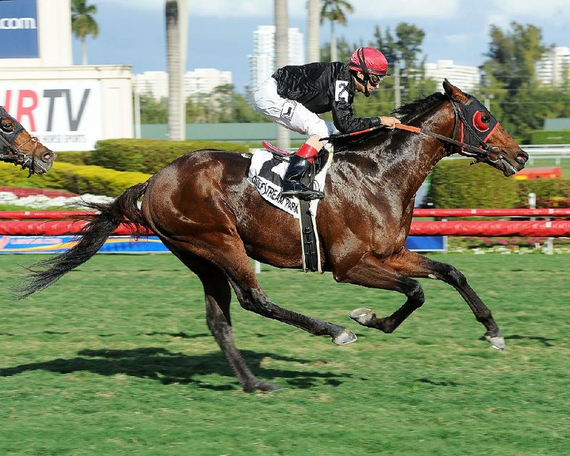 Point of Entry, ridden by John Velazquez, beat Animal Kingdom by 1 1/4 lengths in the Grade I $300,000 Gulfstream Park Turf Handicap on Saturday in Hallandale Beach, Fla. 