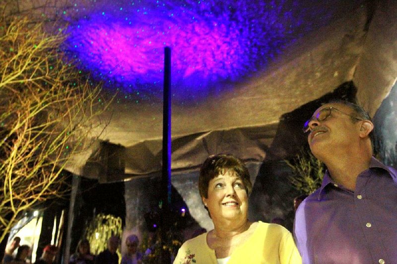 Renate Eubanks and Mike Fisher of Benton explore an indoor nightscape designed by River Valley Horticulture, one of many businesses that erected elaborate displays during the 2012 Arkansas Flower and Garden Show. 
