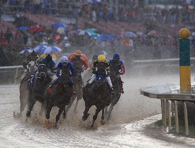 Jockey Rafael Bejarano (right), aboard Super Ninety Nine, leads the field into the clubhouse turn during the $300,000 Southwest Stakes on Monday afternoon at Oaklawn Park in Hot Springs. Super Ninety Nine won the Southwest Stakes by 11 1/4 lengths. 