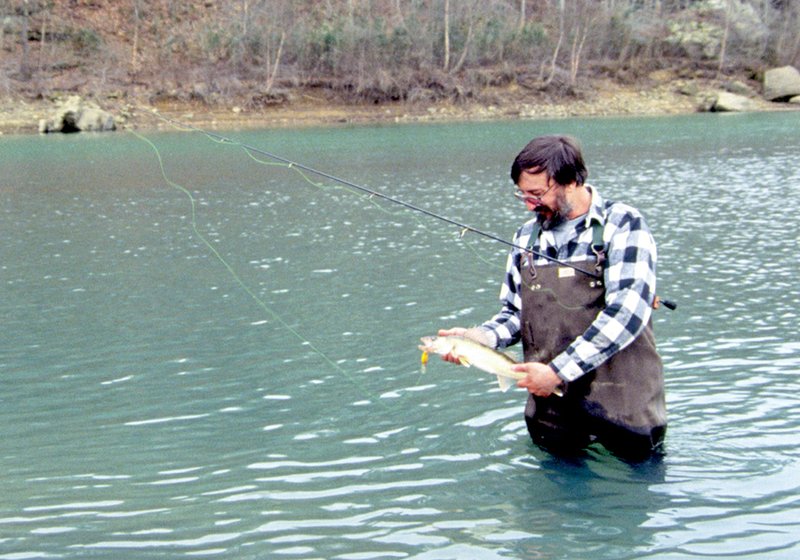 Jim Spencer of Calico Rock wade-fishes for walleyes in Devil’s Fork. The forks of the Little Red River above Greers Ferry Lake are hot spots for walleyes during spring spawning runs.
