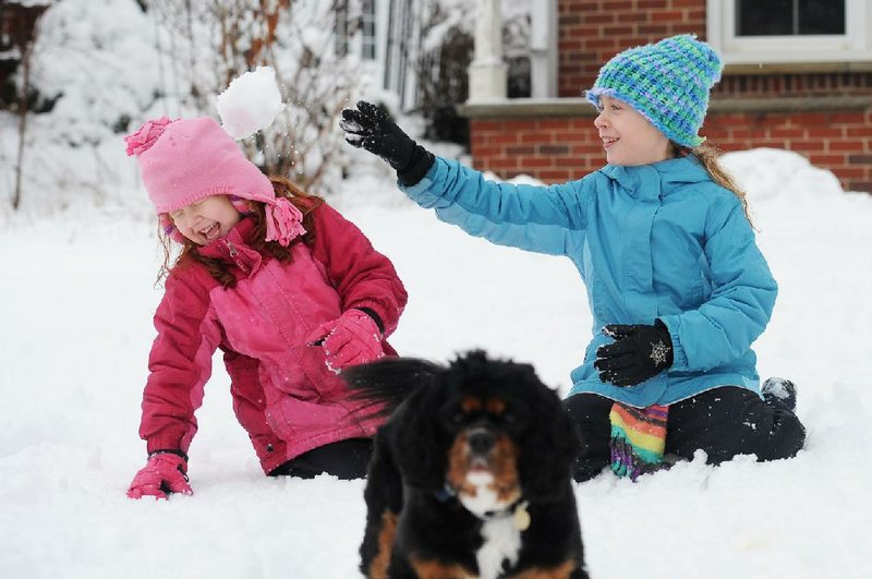 Six-year-old Jaylee Oeschger, 6, laughs as she is hit in the head with a snowball thrown by her sister Ileana, 10, as they play in the snow with their dog Mavis on Wednesday, Feb. 27, 2013 in Ann Arbor, Mich. (AP Photo/AnnArbor.com, Melanie Maxwell)