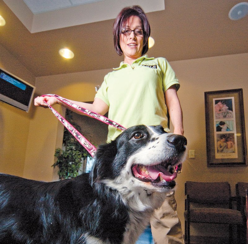 TJ Knight of Beebe and her border collie Bella have had years of training together. Now the pair visit Arkansas Children’s Hospital and the University of Arkansas for Medical Sciences Medical Center to spend time with patients.