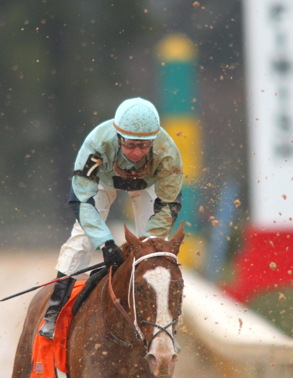 2/21/13
Arkansas Democrat-Gazette/STEPHEN B. THORNTON
Calvin Borel aboard Bold Choice passes through a maze of flying mud after failing to win his 5,000th victory during Thursday afternoon's 8th race at Oaklawn Park in Hot Springs. Borel failed to win his 5,000th victory.