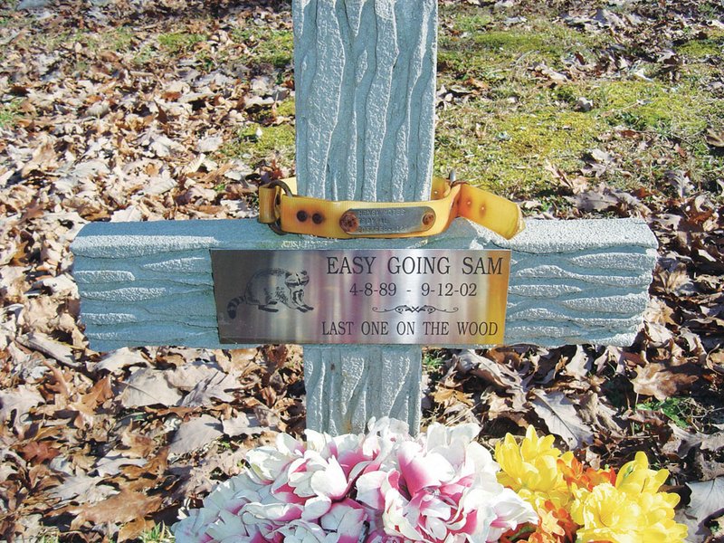 Graves in the coon dog cemetery are marked with a wide assortment of markers that often include memorabilia, such as dog collars and tags.