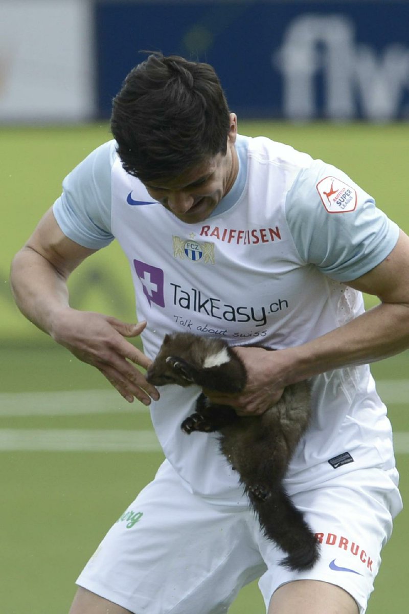 A marten bites a finger of Zurich defender Loris Benito on Sunday in Thun, Switzerland. “In hindsight, it was obviously foolish of me [to try and catch it],” Benito said. 