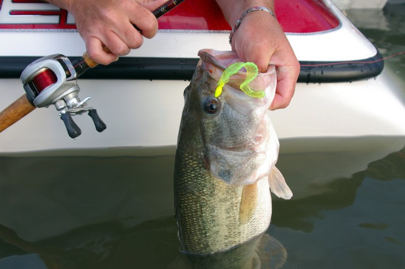 Light tackle, light line and little lures for largemouths