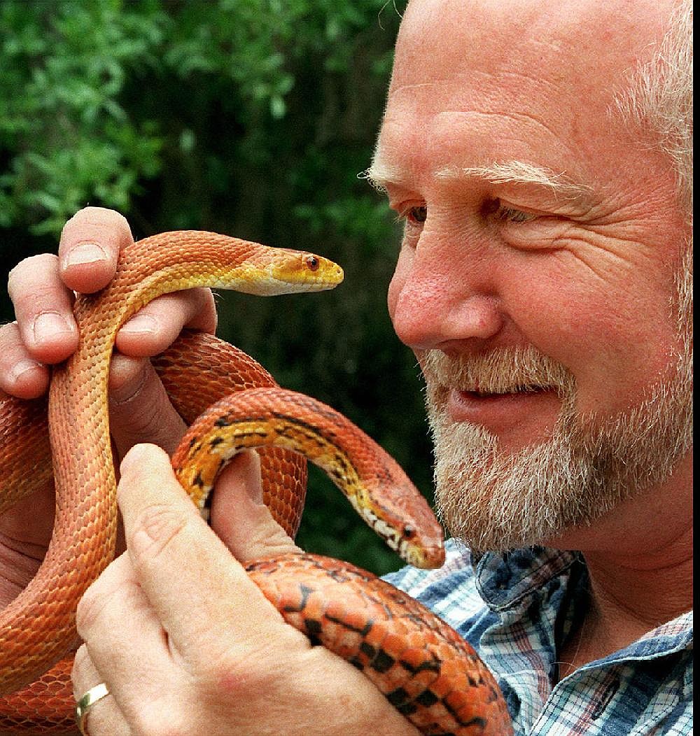 Snake discovery could doom St. Patrick’s Day | Northwest Arkansas ...
