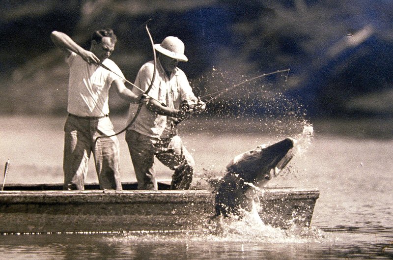 In a historic photograph, archer L.E. Piper, left, is about to release an arrow into a big alligator gar hooked by Dr. Sherod Drennen.
