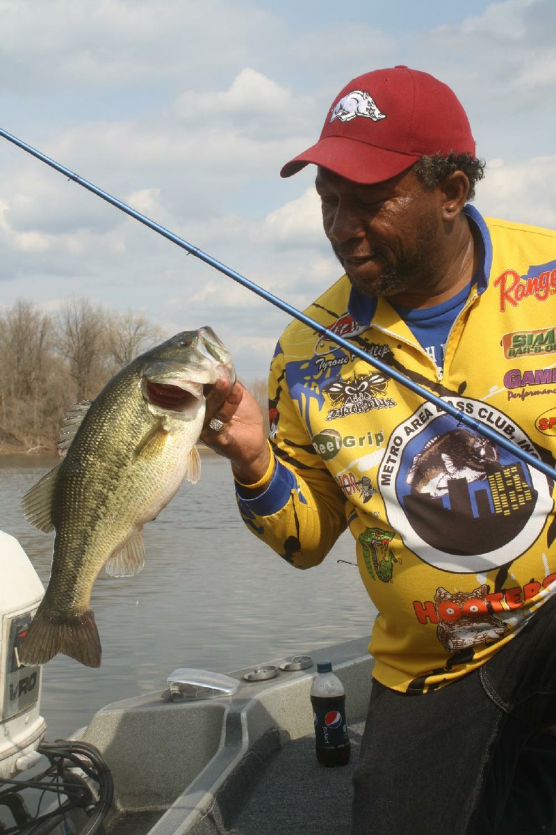 
Tyrone Phillips caught a mess of bass like this Thursday in an Arkansas River backwater between Little Rock and Conway.
