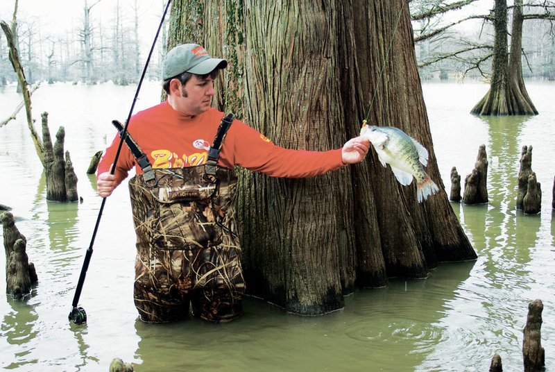 In oxbow lakes like those in the White River National Wildlife Refuge, crappie often spawn in water so shallow it’s difficult to get a boat to them. In this situation, anglers like Patrick Stone of Grenada, Miss., often don some waders and get wet to catch their quarry.