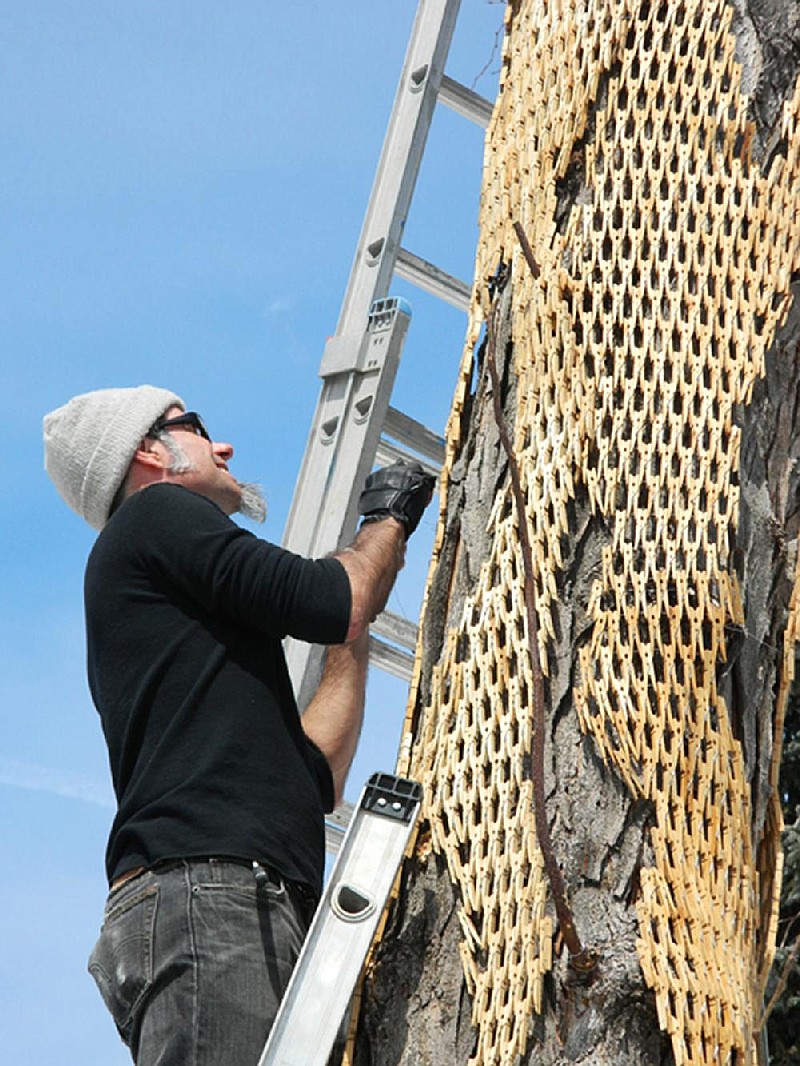 Special to the Democrat-Gazette/GERRY STECCA...Miami-based artist Gerry Stecca attaches clothespins to a tree as part of his Tree Wraps series in this photo taken in Lafayette, Colo. Stecca will install a similar, clothespin piece on the trees around the Fort Smith Regional Art Museum beginning April 18.