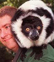 photo thumbnail