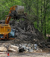 photo thumbnail