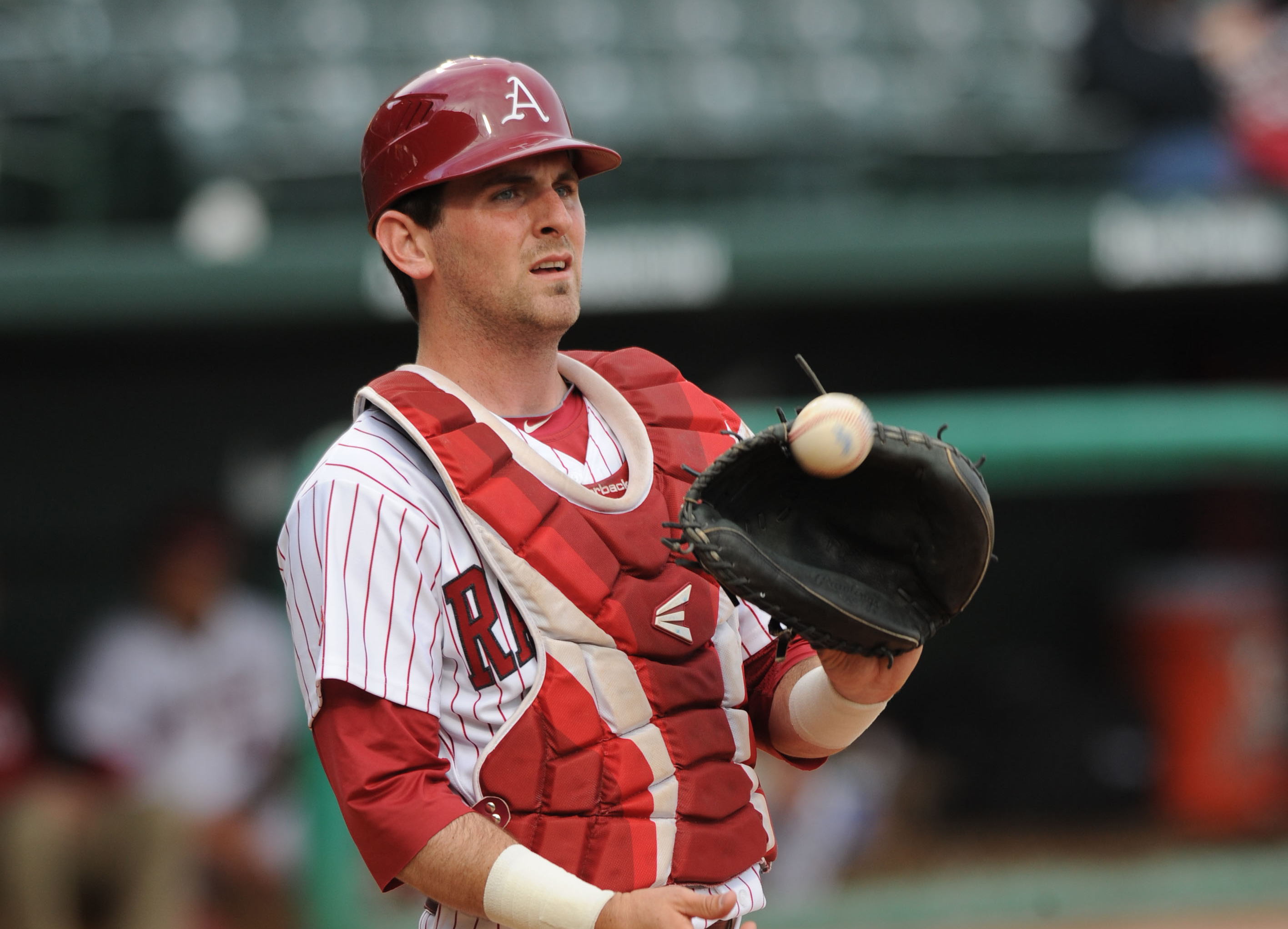 WholeHogSports - State of the Hogs: James McCann turned out well