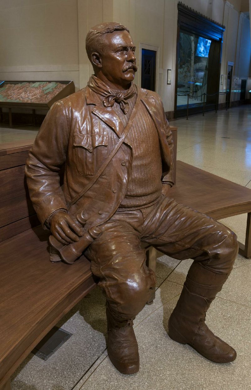 The centerpiece of the Theodore Roosevelt Memorial Hall is a new, bronze, life-size sculpture of the 26th president sitting on a bench. This depiction of Roosevelt is based on photos of him during a 1903 trip to Yosemite with fellow naturalist John Muir. The sculpture was created by Studio EIS in Brooklyn. 