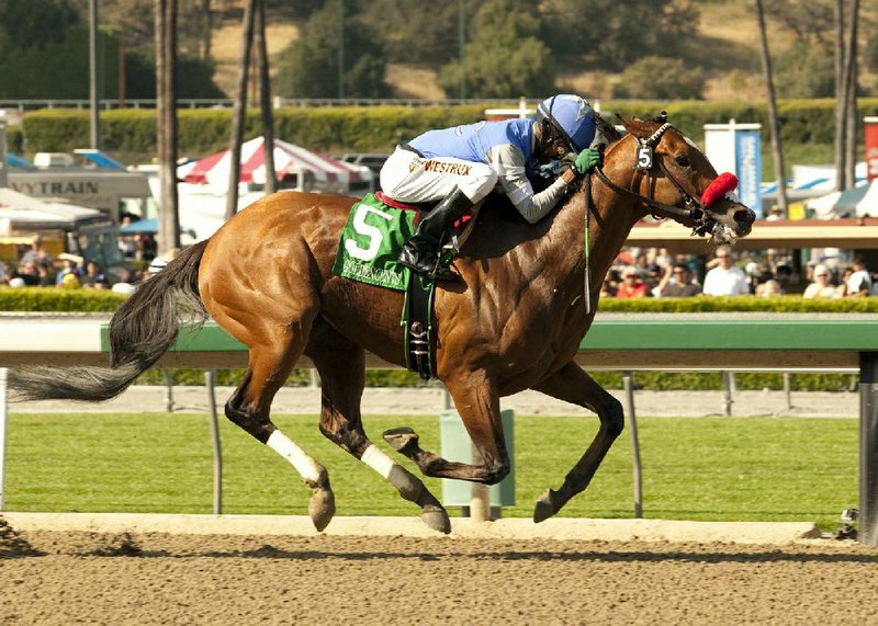 Goldencents, who won the Santa Anita Derby, is going to try and give trainer Doug O’Neill his second consecutive Kentucky Derby victory this Saturday at Churchill Downs in Louisville, Ky. Goldencents arrived in Louisville Saturday and made his first appearance on the track Sunday. 