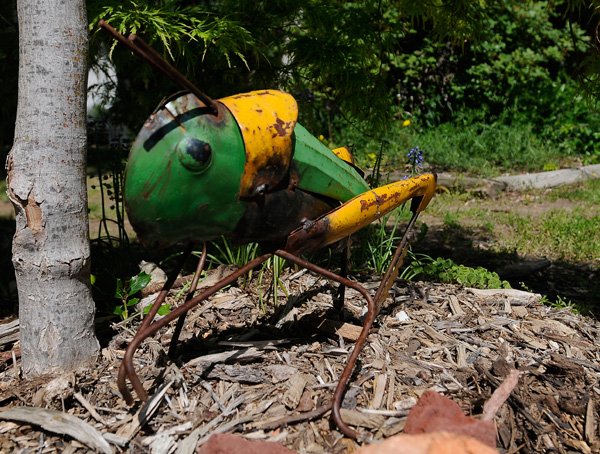 A grasshopper is one of the mystery sculptures found at Centennial Park in Rogers. 