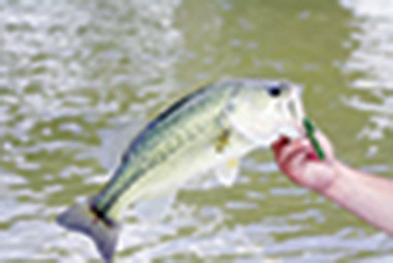 Many bass anglers have preferred lures and presentations they use whenever on the water. However, when those techniques don’t produce, they could be left scratching their heads. Instead, it may be time to ask for advice and learn a new tactic — possibly finesse fishing with light line and small plastics.
