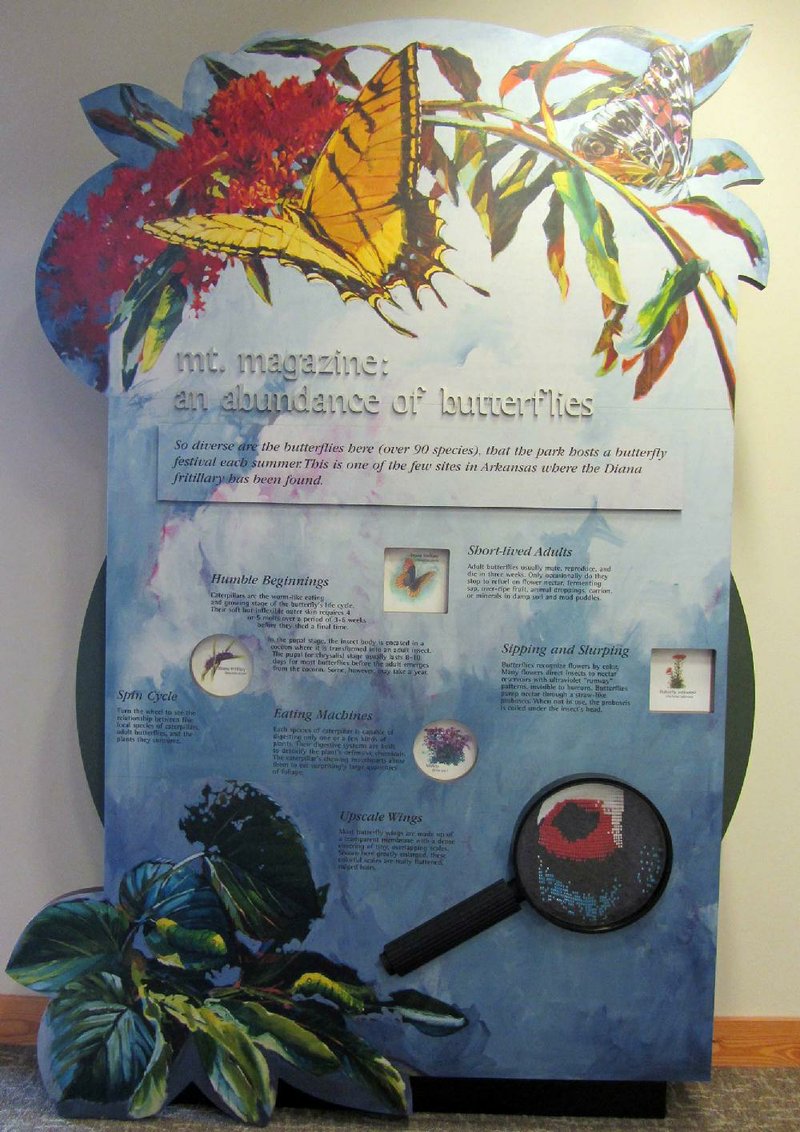 A display at Mount Magazine State Park’s visitor center showcases butterflies. 