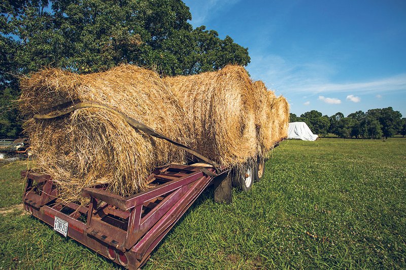 While last summer was a bad time for farmers, things are looking better this year. The blistering temperatures in 2012 wreaked havoc on hay production, but many farmers in the Three Rivers Edition coverage area hope for a more promising hay crop this time around.