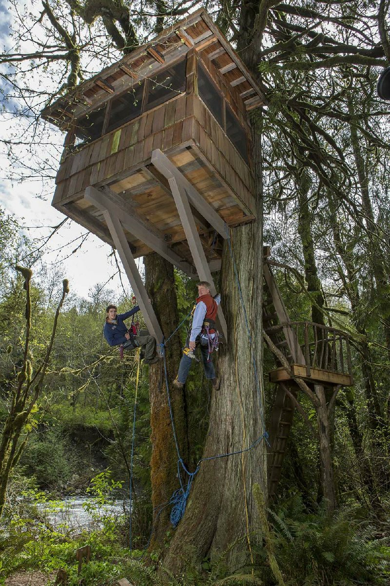 Pete Nelson (right) and his son, Charlie, finish up a treehouse on Animal Planet’s Treehouse Masters. The series airs at 9 p.m. Friday. 
