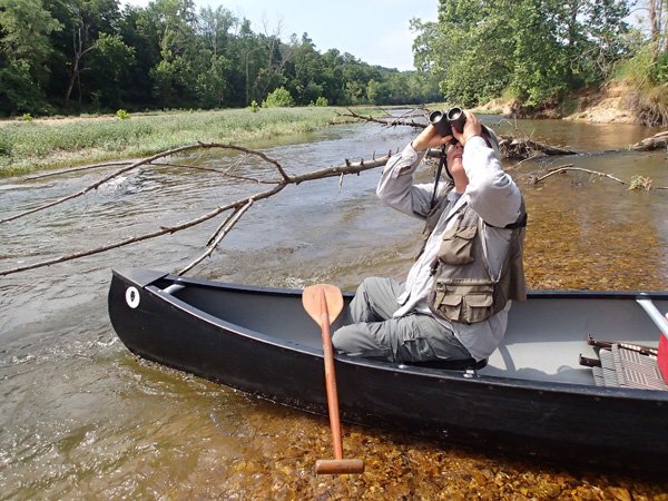 A seat in a canoe makes a fine perch for birding. Joe Neal of Fayetteville looks at soaring birds on the Kings River. A 5-mile float trip on June 14 revealed 60 bird species. 