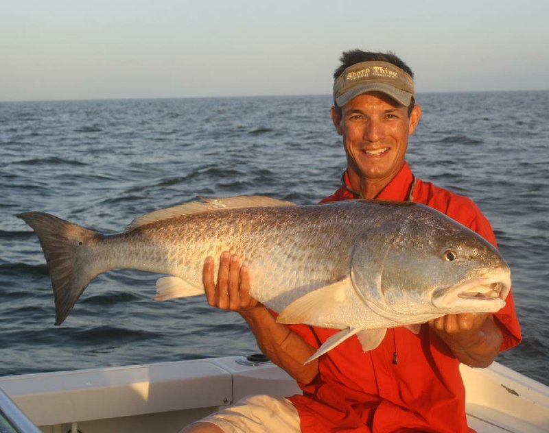 Sonny Schindler admires a 35-pound redfish caught Tuesday off the Mississippi coast. It was a team effort. The writer hooked it, Matthew Hendricks fought it and Schindler netted it. 