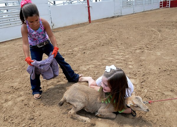 Desirae Sieber, 7, left, gets ready Monday to put a pair of boxer shorts on a goat as Makayla Hutter, 9, holds it down as they demonstrate how to dress a goat at Parsons Stadium in Springdale. Children ages 7, 8 and 9 compete in the goat-dressing competition during the Rodeo of the Ozarks in Springdale.