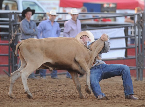 Justin Thigpen of Waycross, Ga., competes in the steer wrestling Wednesday during the Rodeo of the Ozarks at Parsons Stadium in Springdale. 