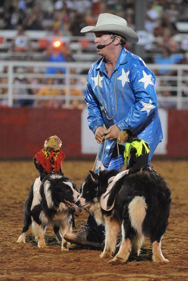 Tim “Wild Thang” Lepard of Tupelo, Miss., leads his Team Ghost Riders, a group of Capuchin monkeys who ride border collies during the Rodeo of the Ozarks, on Wednesday at Parsons Stadium in Springdale.