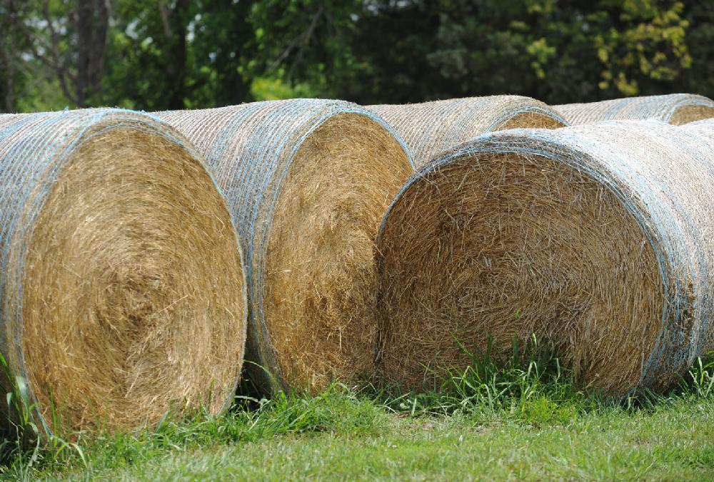 Expert: Test hay to ensure livestock receive enough nutrition