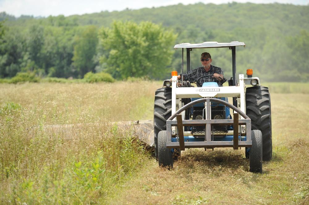 Manage grasses for good grazing