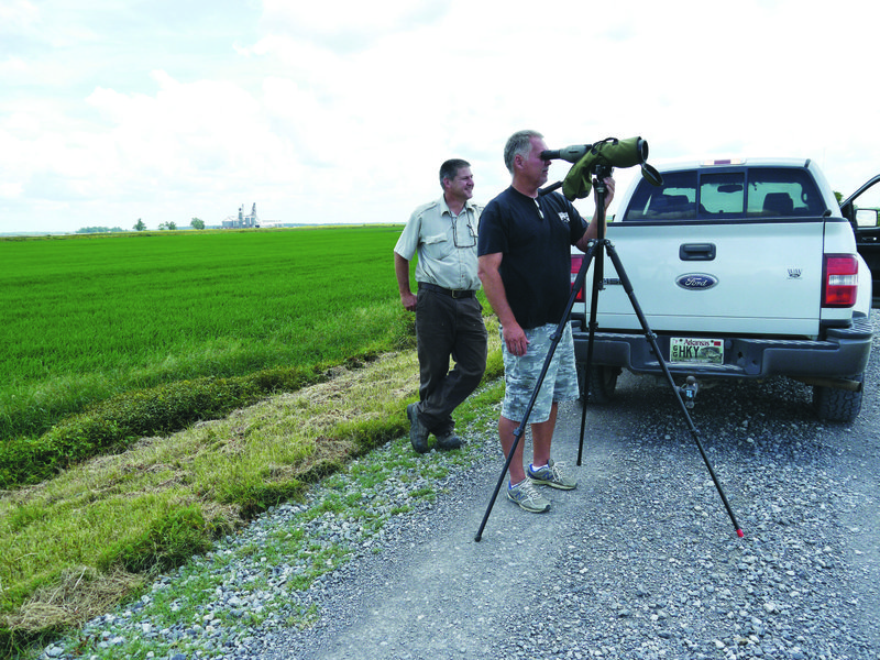 The Bald Knob National Wildlife Refuge is a prime location for catching a glimpse of migratory shorebirds. Local bird enthusiast Kenny Nichols surveys the area for interesting species at the refuge. Nichols is shown with Bill Alexander, refuge manager.