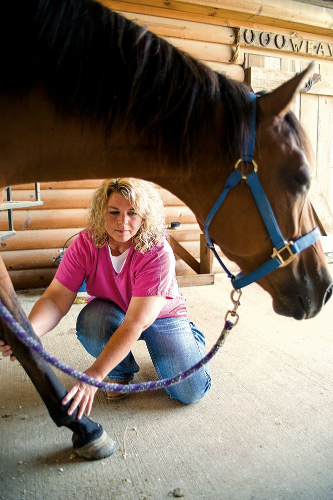 Shelia Weaver does massage therapy on the leg of a horse. The Shirley resident recently became certified as an equine practitioner of the Masterson Method of massage therapy.