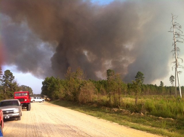 Special to the Arkansas Democrat Gazette - 09-19-2013 - A massive 2,200 acre wildfire burns its way through rural Bradley County on Wednesday, September 18, 2013. Authorities said Thursday the fire was contained without burning any structures.