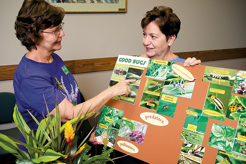 Master Gardeners Anne Flueckiger, left, and Dee Offerman  talk about insects often found in the garden.