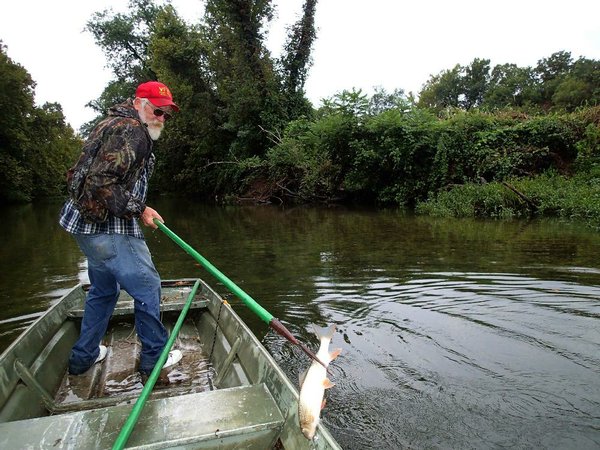 fish-on-a-stick-northwest-arkansas-democrat-gazette