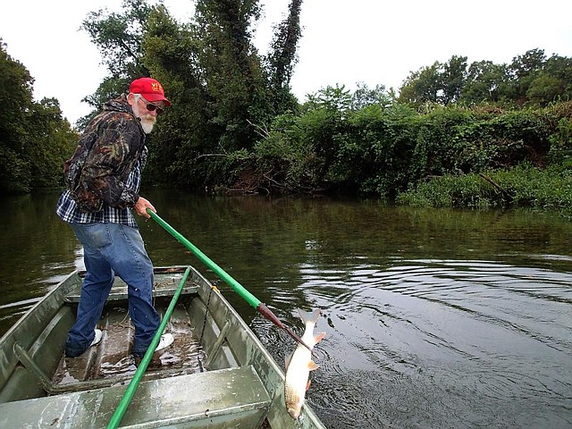 Gary Wellesley of Springdale gigs a white sucker on Indian Creek. White suckers are his favorite fish to take with a gig. Giggers may spear rough fish such as suckers, carp and gar.  