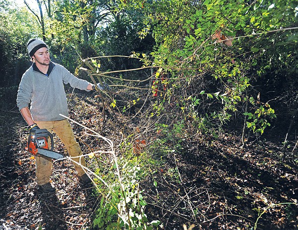 Trey Graves uses a chain saw as he clears invasive plants Sunday to make way for a planned disc golf course
at Walker Park in Fayetteville.