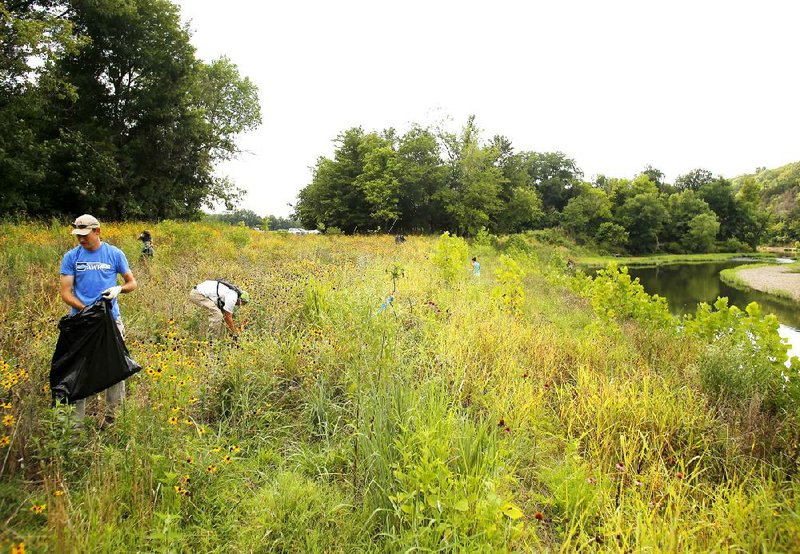 John Pennington, executive director of the Beaver Watershed Alliance, works with a group of volunteers in July to cut the seed heads off of johnsongrass. The grass can become toxic to livestock. 