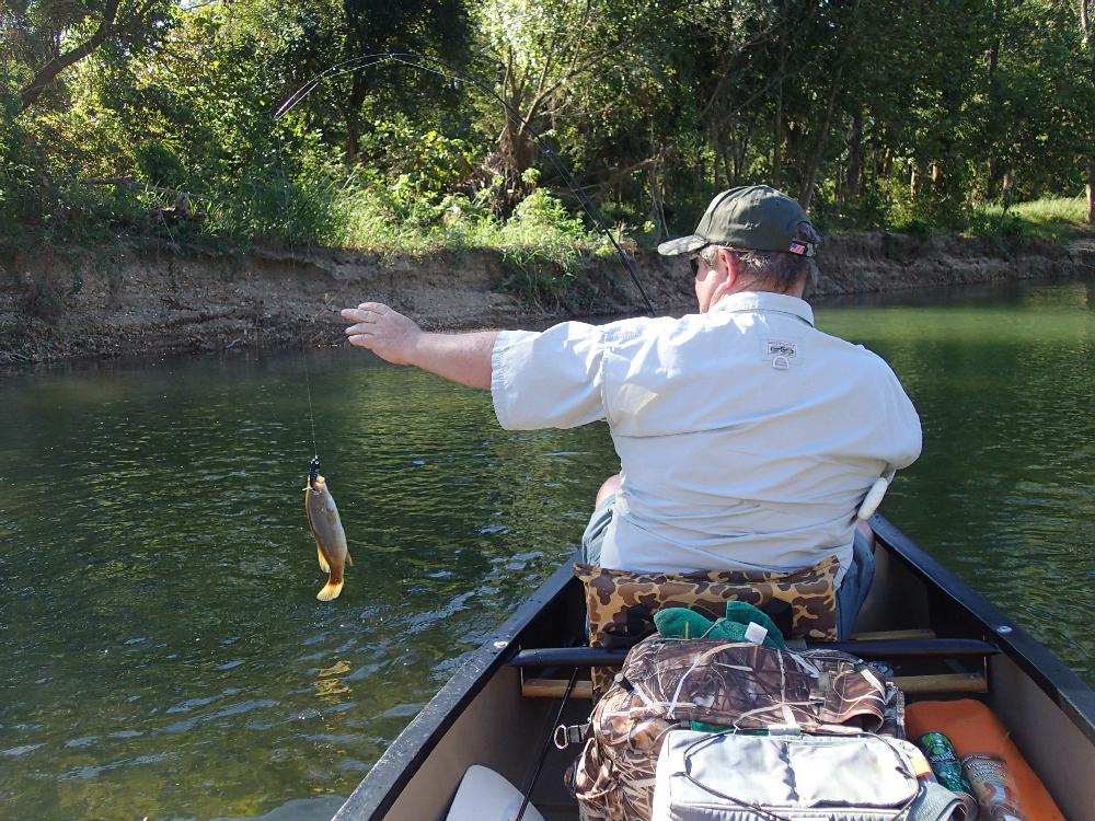 Duncan worked a black Tiny Torpedo like a buzz bait to catch several fish on the Elk River.