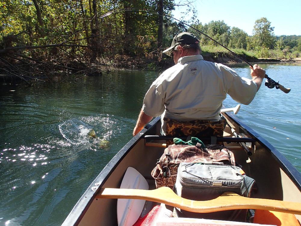 Ron Duncan of Springdale overcame tough odds to catch fish on the Elk River on Sept. 13 2013. It was Friday the 13th. A cold front had just blown through and the breeze was from the east.