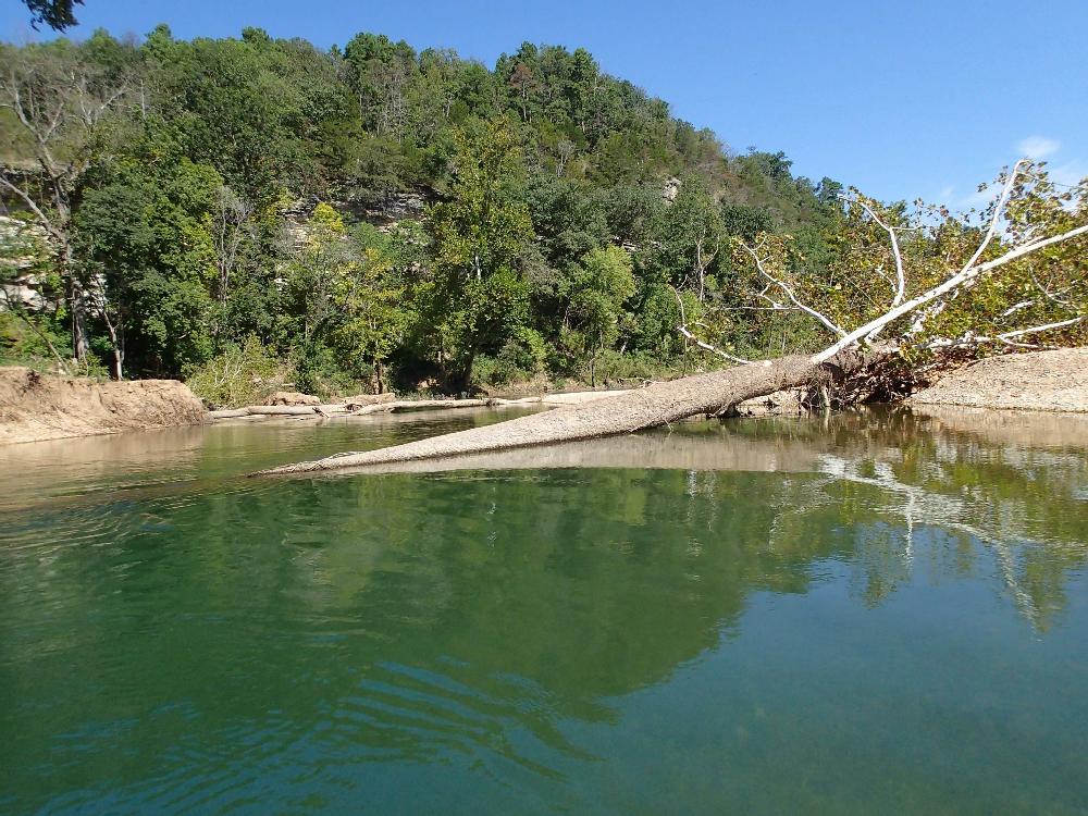 A flood in August changed the look of the Elk River in several places. These trees in the river weren't too difficult to maneuver around.