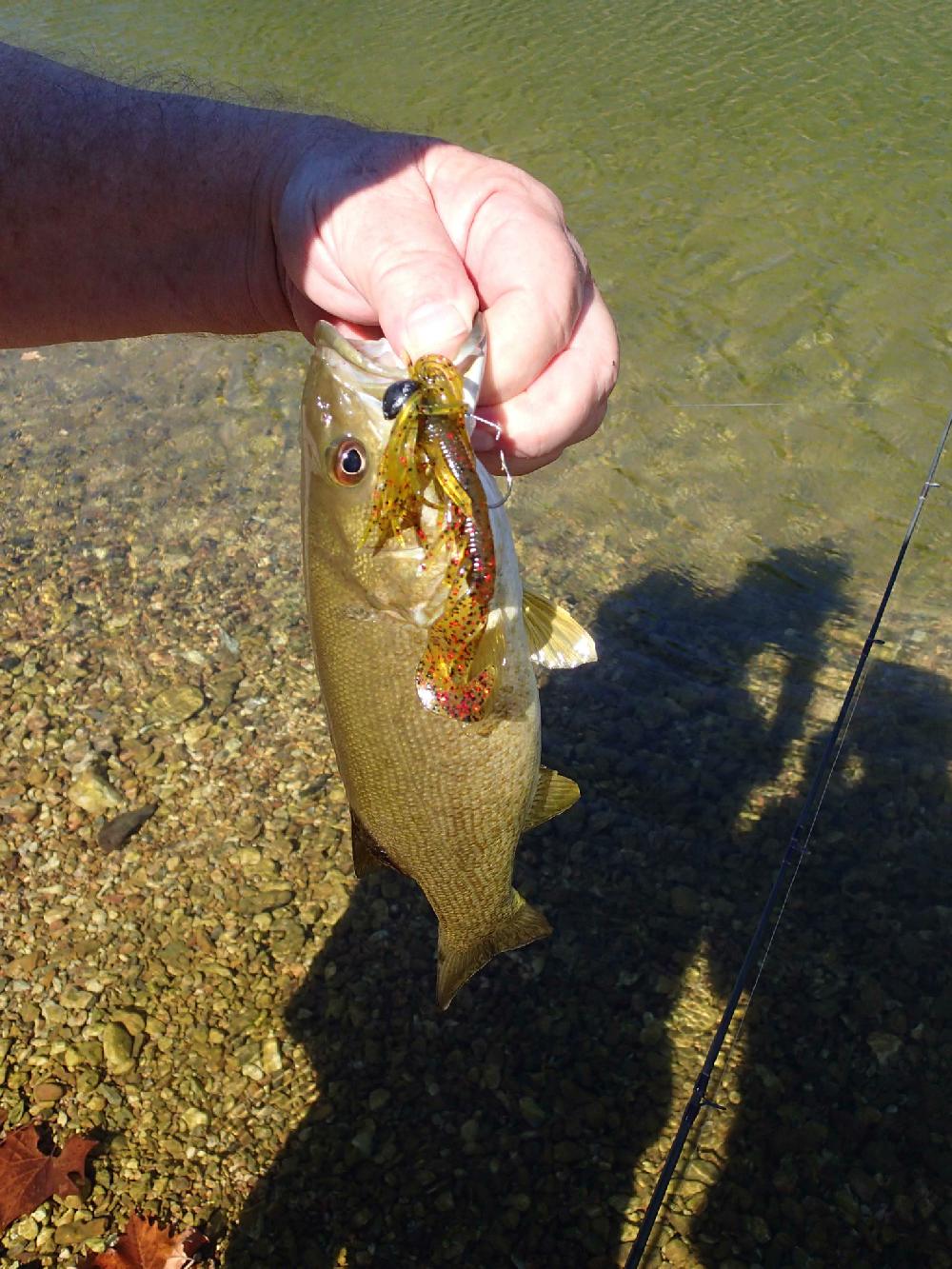 An Arkie Crawling Grub made by Arkie Lures of Springdale is Duncan's favorite lure for smallmouth bass.