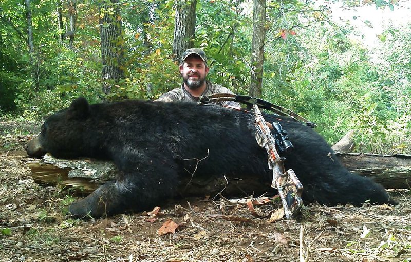 Photo submitted by Craig White
Craig White of Rogers killed this 300-plus pound black bear with his crossbow Oct. 2 on private land near Combs, in Madison County. White killed the bruin over bait on his first season hunting bear.
