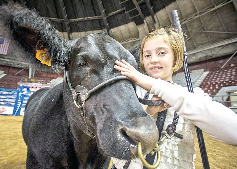 Chancee Clark, a fifth-grader at Vilonia Middle School, smiles as she gets ready to enter the show ring at the 2013 Sale of Champions at the Arkansas State Fair. 