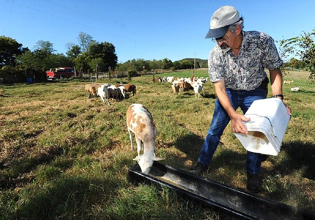 Jim Morgan of Fayetteville feeds his Katahdin sheep at his farm. He and his wife, Teresa Maurer, operate Katahdin Hair Sheep International. 