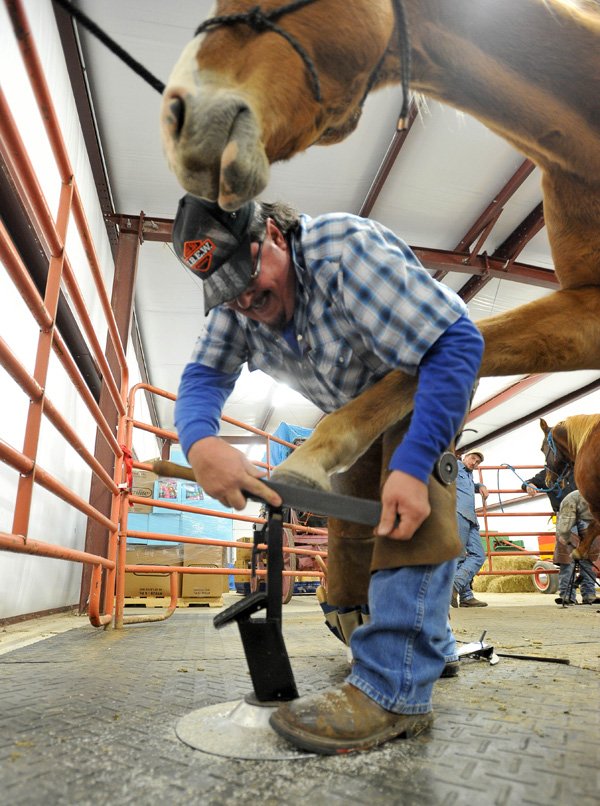 Dave Ward from Prior Oklahoma works on shoeing a horse Thursday evening during a horse shoeing class at Don Harp Carriage House at Parsons Stadium in Springdale.  NTI made an agreement with Parson's Stadium so they can have a permanent location for their horseshoeing class.