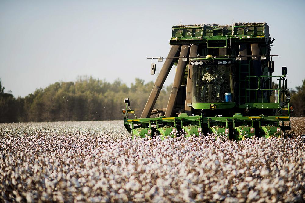 Cotton farmers to share soil tips